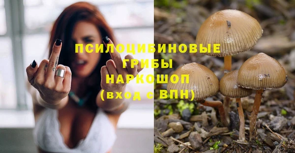 сатива Осташков